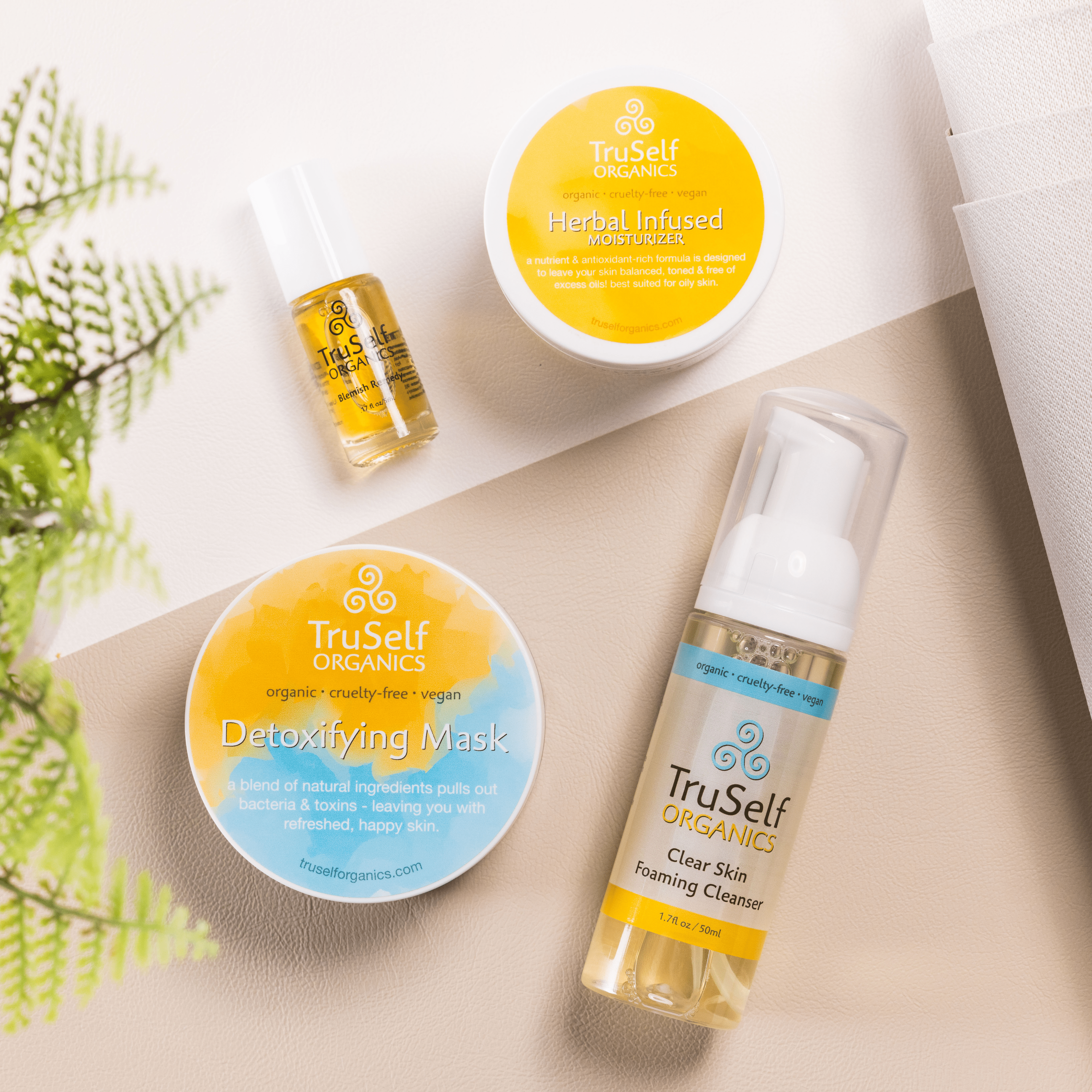 Acne Fighting Kit For Oily Skin